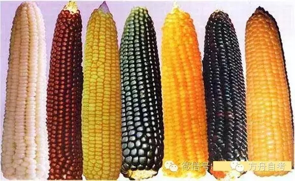 640.webp (7).jpg 640.webp (7).jpg