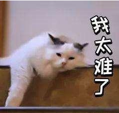 自学考试文凭有用吗 自学考试文凭有用吗