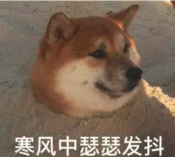 学历改革 学历改革