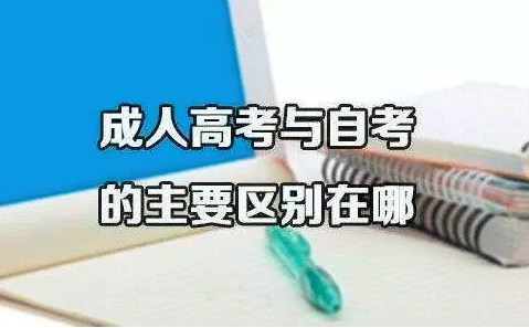 成考和自考哪个含金量更高 成考和自考哪个含金量更高